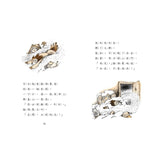 羅北兒故事集：貓頭鷹在家