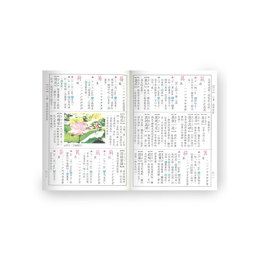 最新彩色國語大辭典（二版） – Yo! Baby Shop