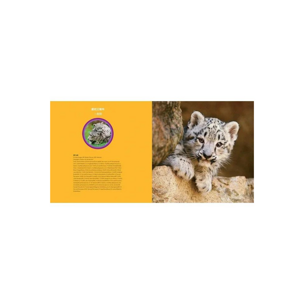 國家地理幼幼探險家：雪豹的冒險(中英雙語)