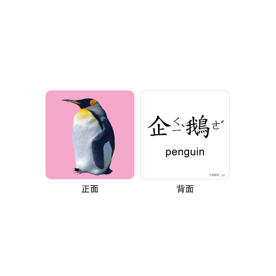 FOOD超人聰明認知大圖卡-可愛動物*新版*