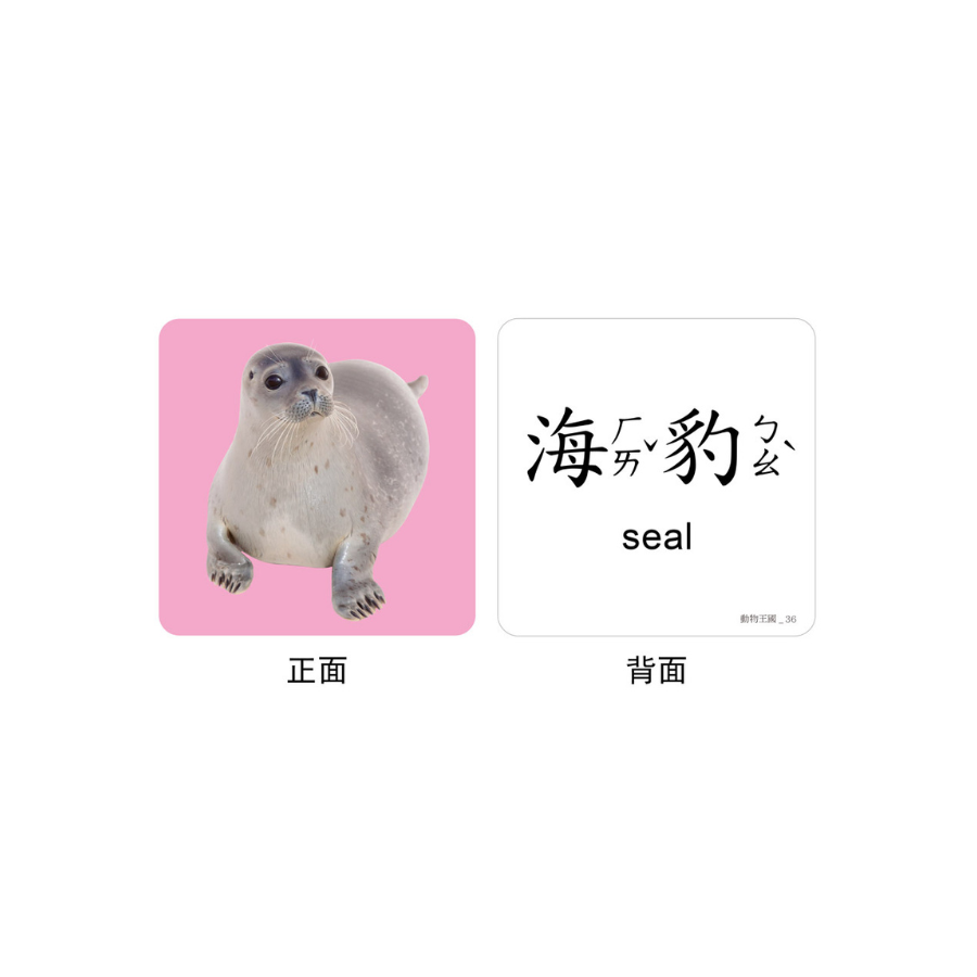 FOOD超人聰明認知大圖卡-動物王國*新版*