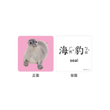 FOOD超人聰明認知大圖卡-動物王國*新版*