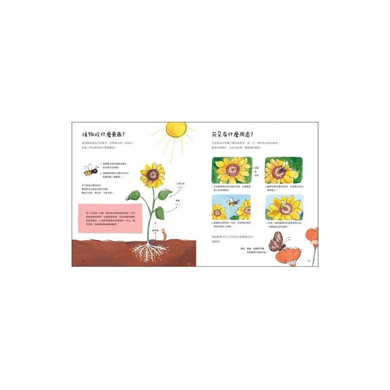 地球大書：關於地球，有問必答