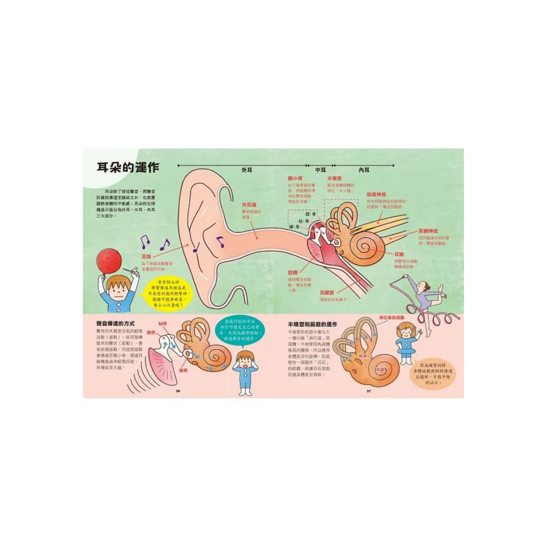 出發吧！人體探險隊：揭開身體消化道、泌尿系統、骨骼肌肉、心臟血管……不可思議的祕密（新版）