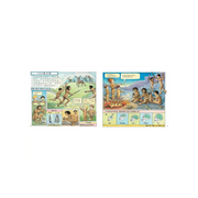 Magic School Bus Set of 13 魔法校車經典必蒐版（全13冊）