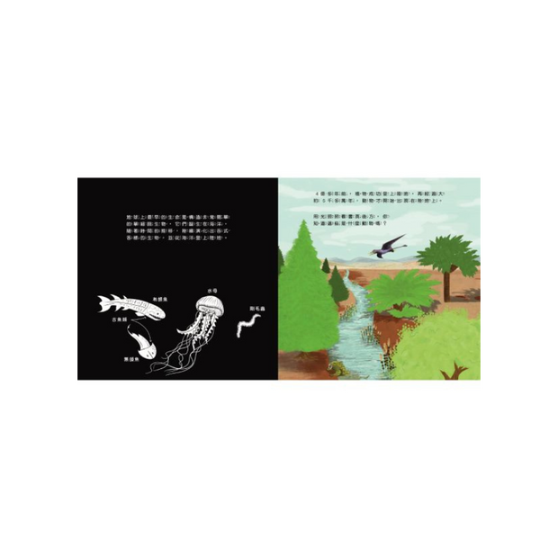 登登登！透光Show 神秘恐龍來囉！