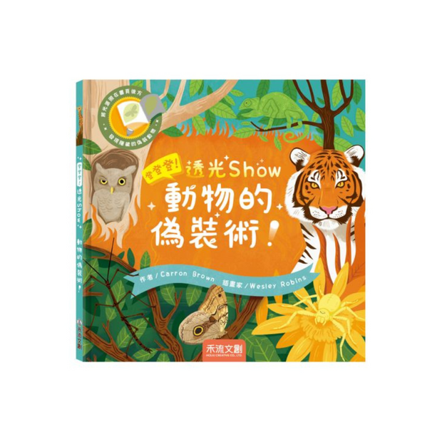 登登登！透光Show 動物的偽裝術！