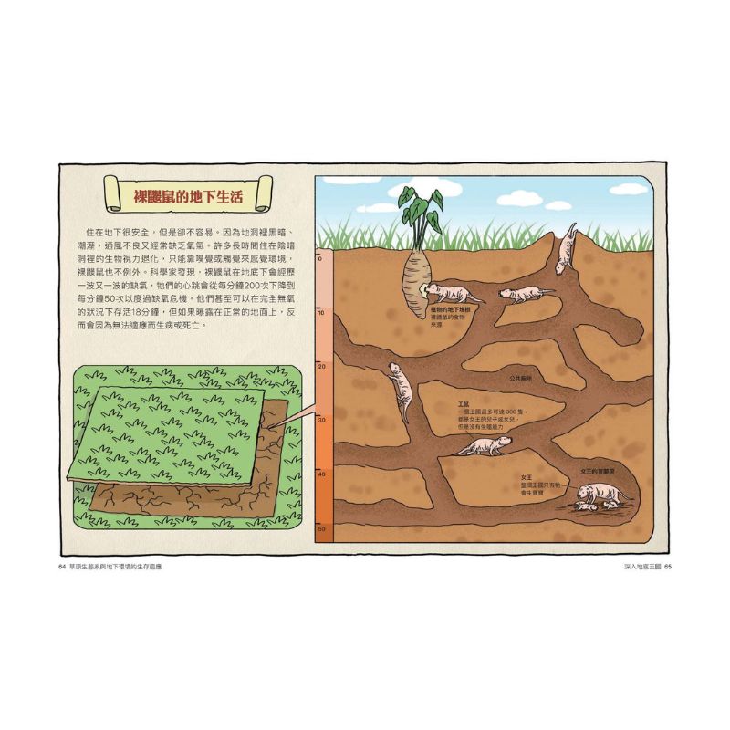 達克比辦案14：莽原生死鬥：草原生態系與地下環境的生存適應