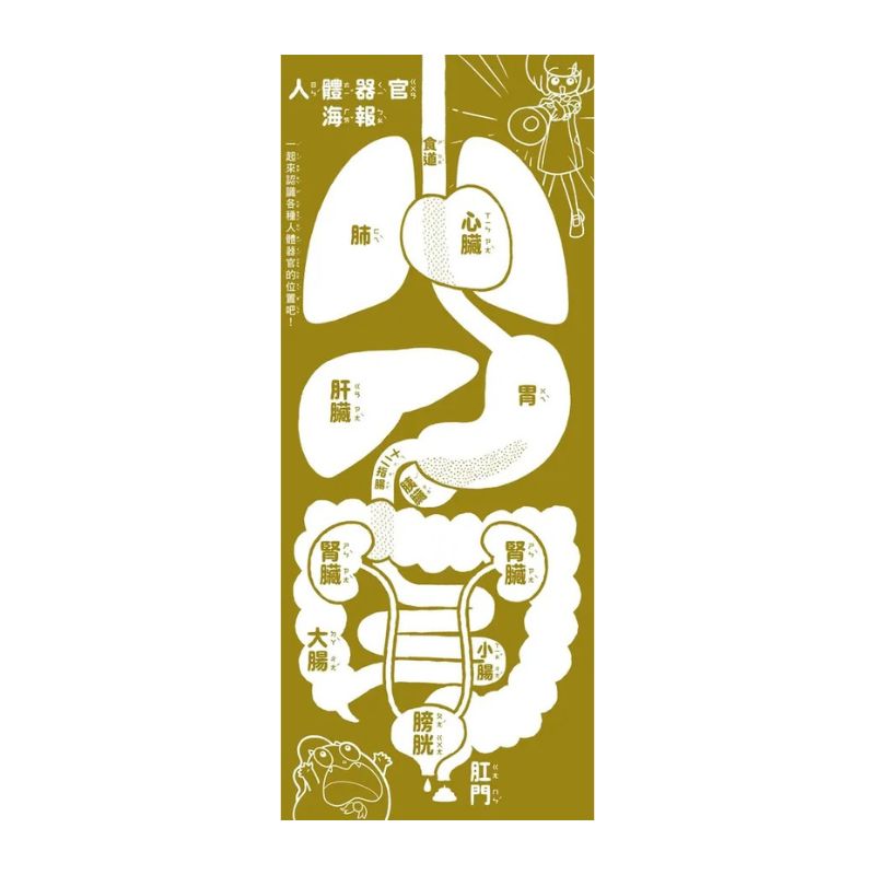 褲子小偷套書1＋2：人體科學＋數學（共2冊）