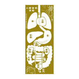 褲子小偷套書1＋2：人體科學＋數學（共2冊）