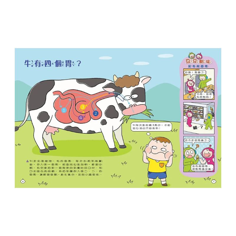 紅豆妮綠豆兵的知識快充站2