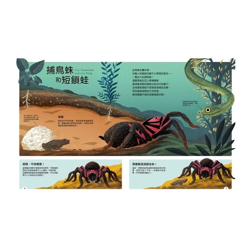 動物小夥伴：59 組你想不到的最佳拍檔，歡迎來到動植物共生的奇妙世界