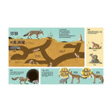 動物小夥伴：59 組你想不到的最佳拍檔，歡迎來到動植物共生的奇妙世界