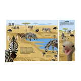 動物小夥伴：59 組你想不到的最佳拍檔，歡迎來到動植物共生的奇妙世界