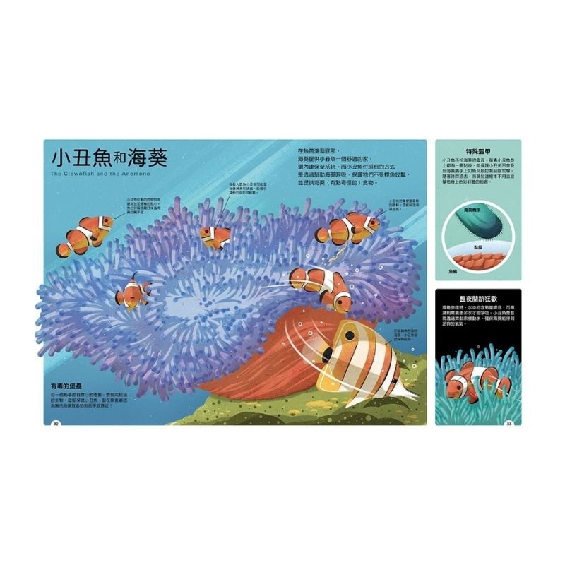 動物小夥伴：59 組你想不到的最佳拍檔，歡迎來到動植物共生的奇妙世界