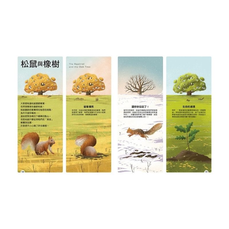 動物小夥伴：59 組你想不到的最佳拍檔，歡迎來到動植物共生的奇妙世界