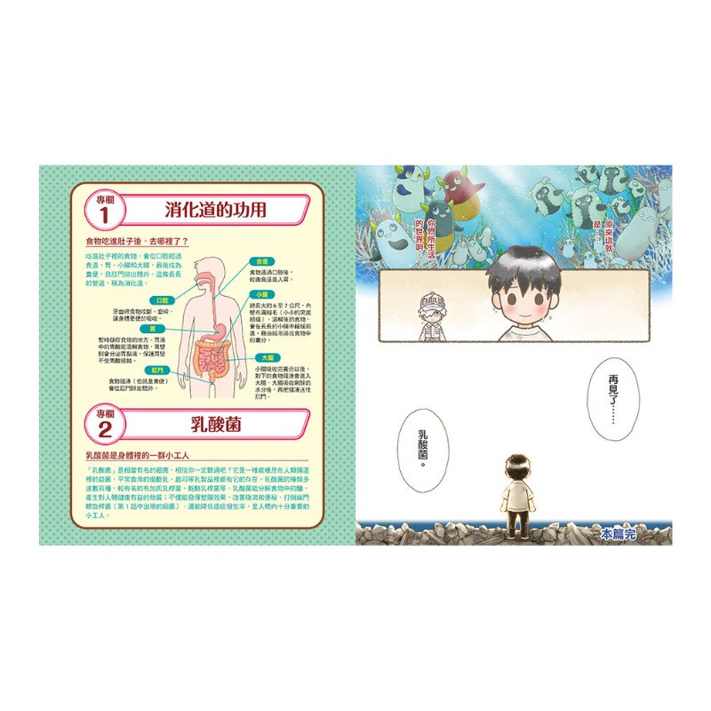 繪本工作細胞6-天降奇兵！乳酸菌與害菌大亂鬥