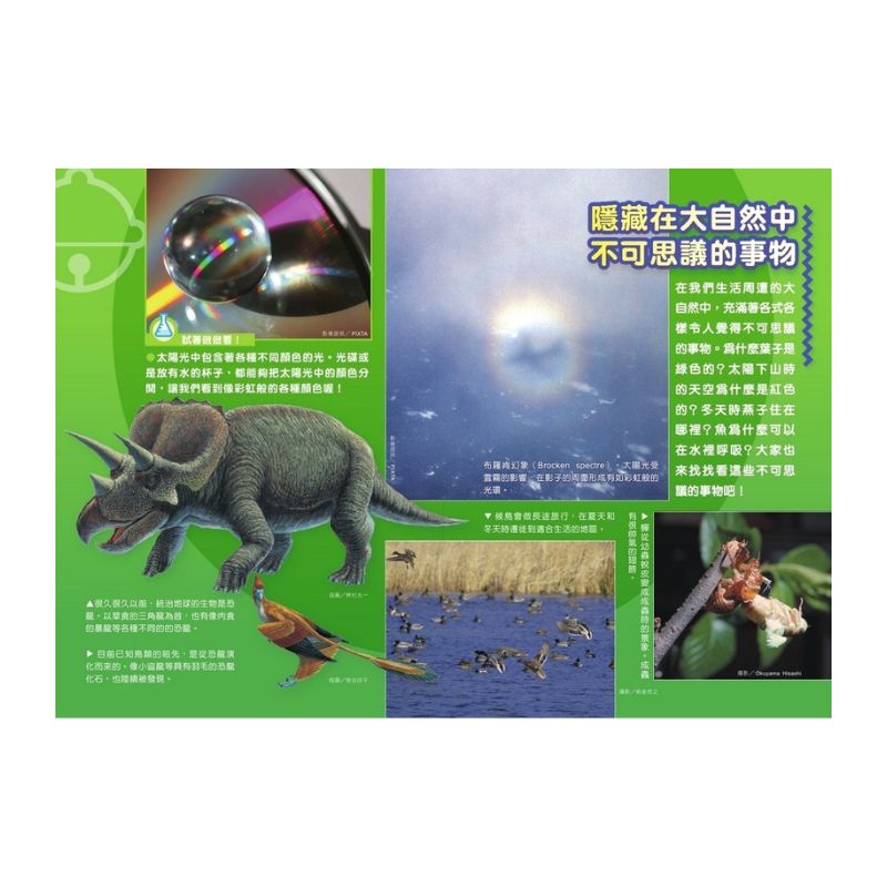 哆啦A夢科學任意門10 科學記憶吐司