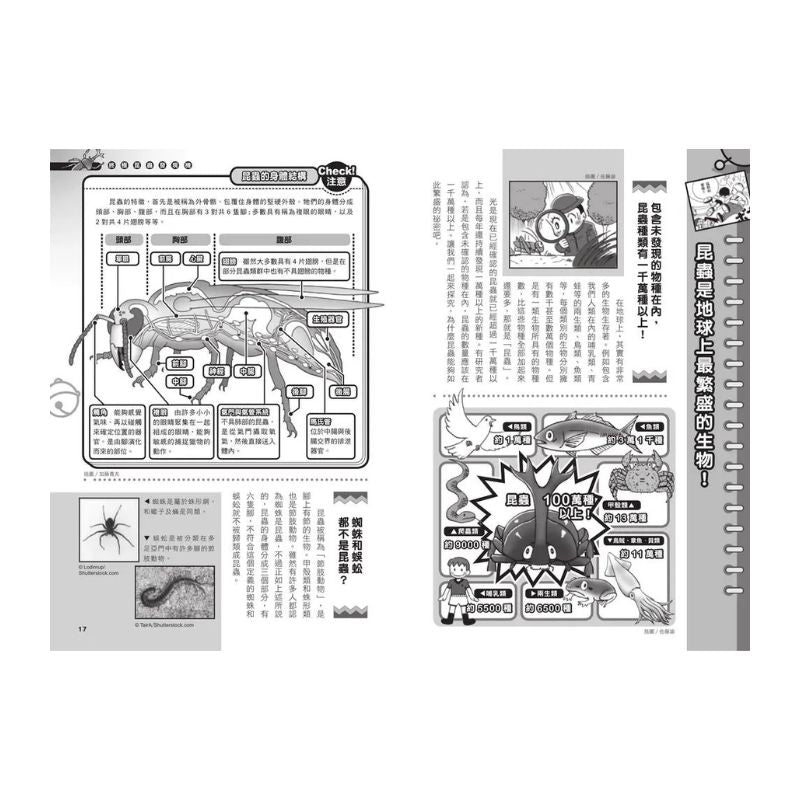 哆啦A夢科學任意門11 終極昆蟲發現機