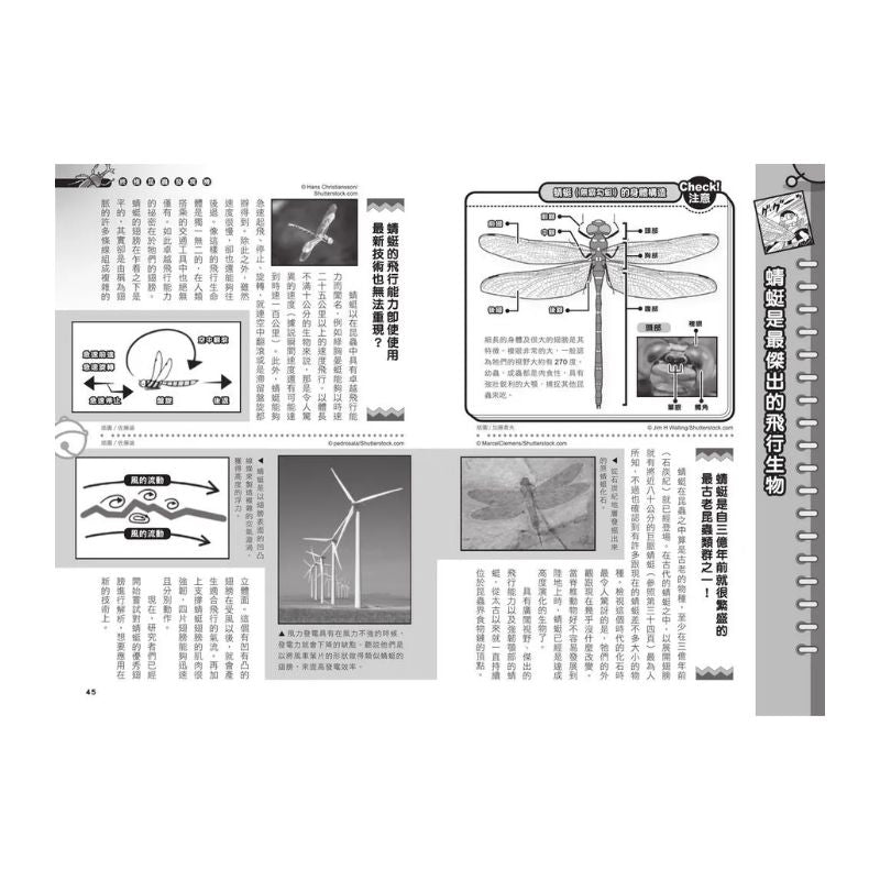 哆啦A夢科學任意門11 終極昆蟲發現機