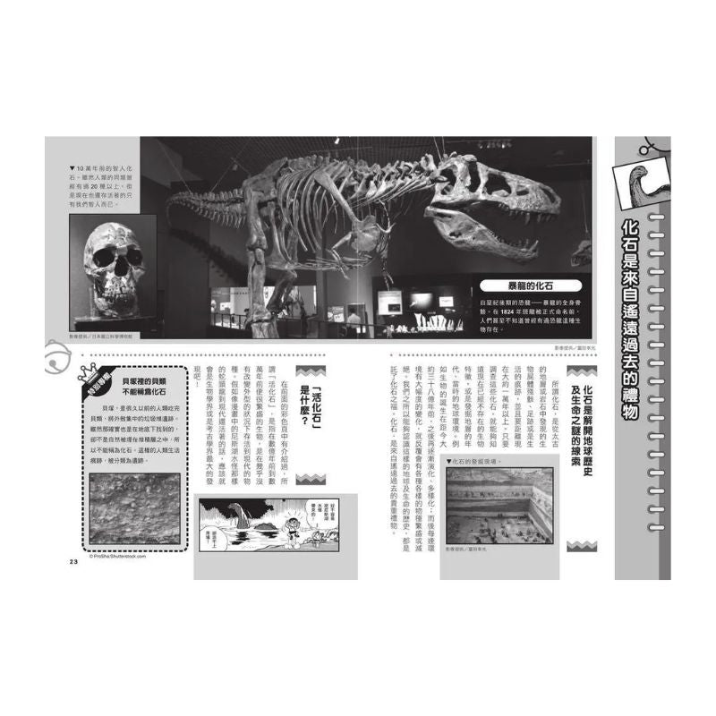 哆啦A夢科學任意門15 神秘化石時光布