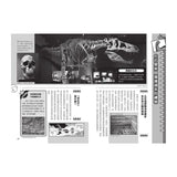 哆啦A夢科學任意門15 神秘化石時光布