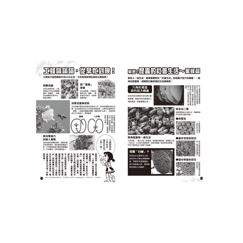 哆啦A夢科學大冒險7：昆蟲星球探險隊