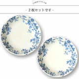 Blue Botanical Pasta & Curry Mino Ware Plate Set – 8.5" Set of 2