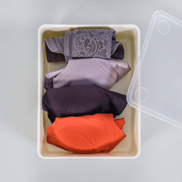 Underwear Storage Bin With Lids, Set of 3 日本霜山多功能貼身衣物分隔收納組