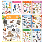 Realistic Bilingual Chinese-English Poster Set (Traditional Chinese and Zhuyin) 實物兒童中英文學習海報組