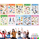 Realistic Bilingual Chinese-English Poster Set (Traditional Chinese and Zhuyin) 實物兒童中英文學習海報組