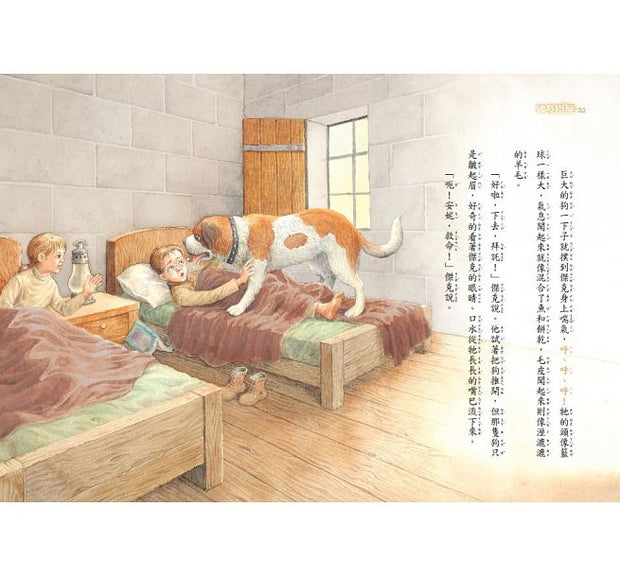 Magic Tree House Boxset Collection 6 神奇樹屋系列套書6 - 中英雙語（41-48集，附書盒）