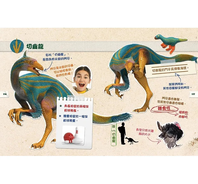 DINO DANA 小恐龍家的實地考察指南