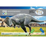 DINO DANA 小恐龍家的實地考察指南