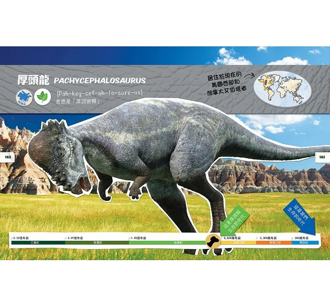 DINO DANA 小恐龍家的實地考察指南