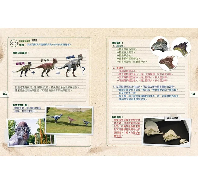 DINO DANA 小恐龍家的實地考察指南