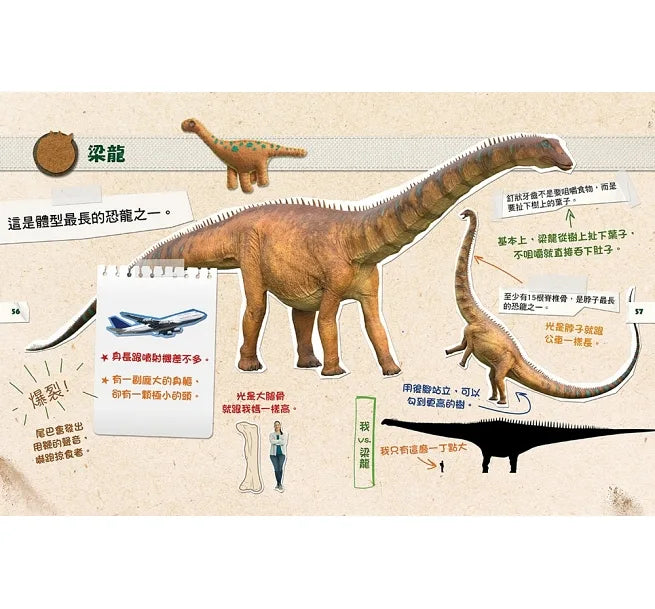 DINO DANA 小恐龍家的實地考察指南