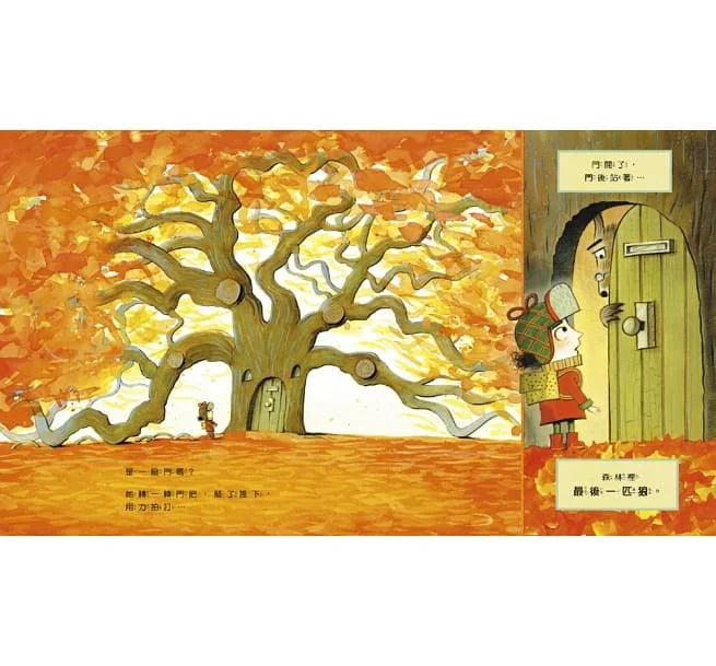 最後一匹狼：對森林友善的探險