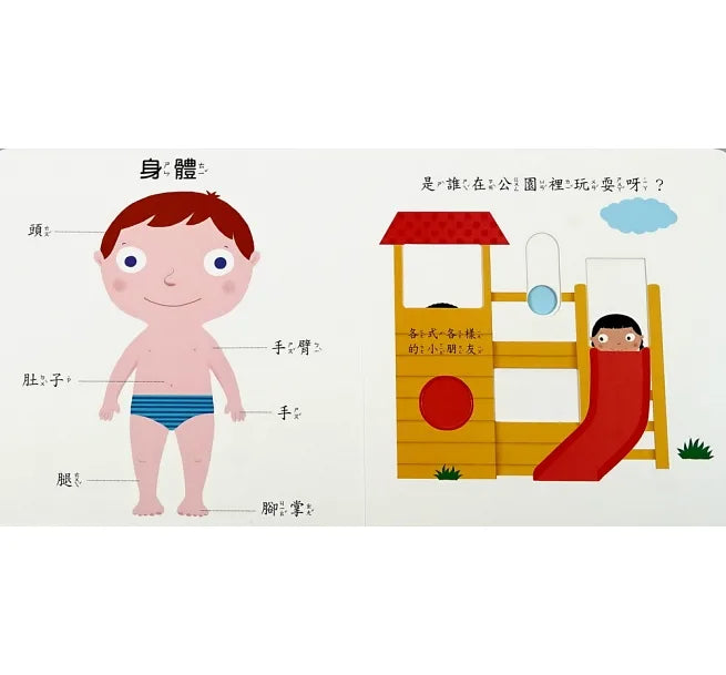 我的身體-Smart寶寶系列