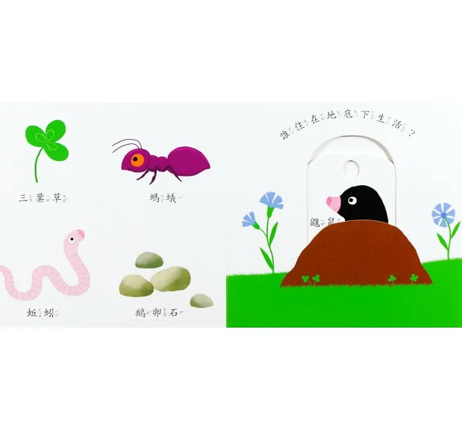 我的花園-Smart寶寶系列