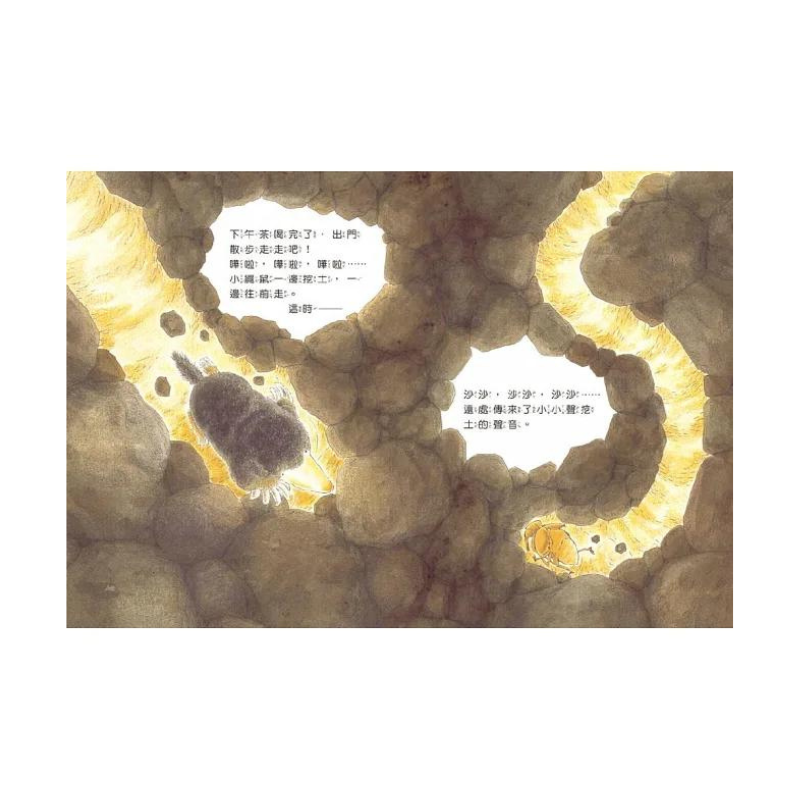 小鼴鼠和蟬寶寶