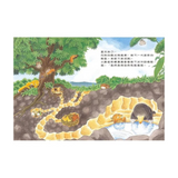 小鼴鼠和蟬寶寶