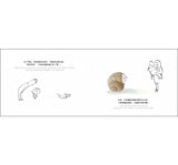上學的第一天，我的肚子裡有蝴蝶 Butterflies in my stomach and other school hazards - Bilingual English & Chinese