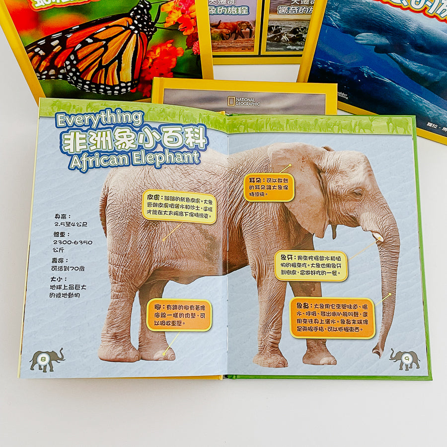 大遷徙兒童版（一套四冊，附精美書盒）