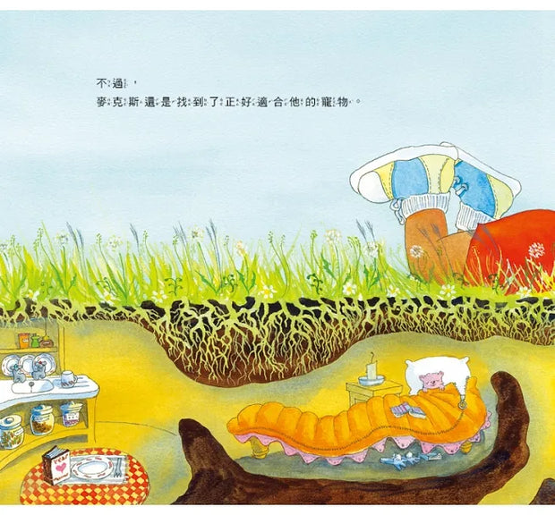 我的寵物噴火龍愛看書