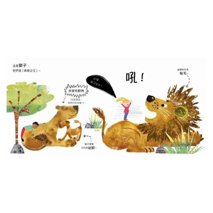 跟動物明星打招呼！生態啟蒙硬頁翻翻繪本套書（哈囉，恐龍先生！+ 哈囉，大象太太！）
