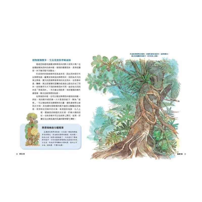 少年讀臺灣：認識歷史、地理與生態(全套3冊)