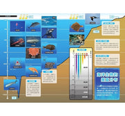 哆啦A夢科學任意門(11-15集)