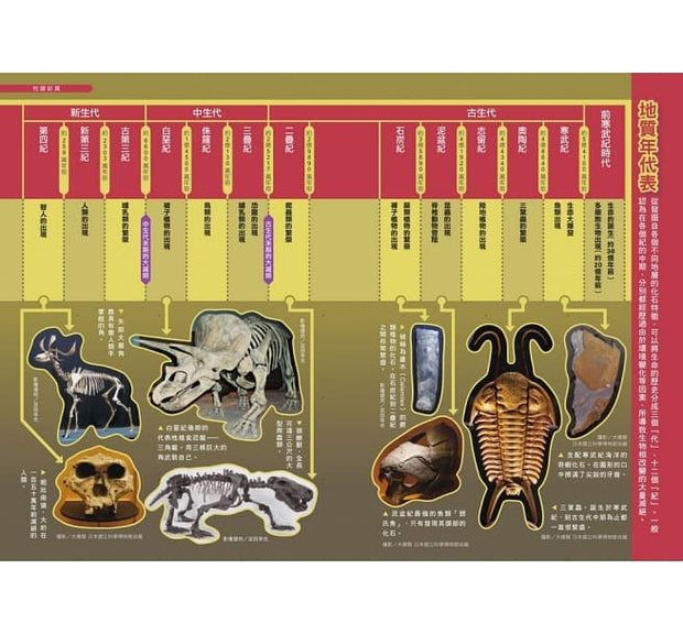 哆啦A夢科學任意門(11-15集)