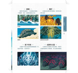 吉卜力工作室的各式各樣的生物